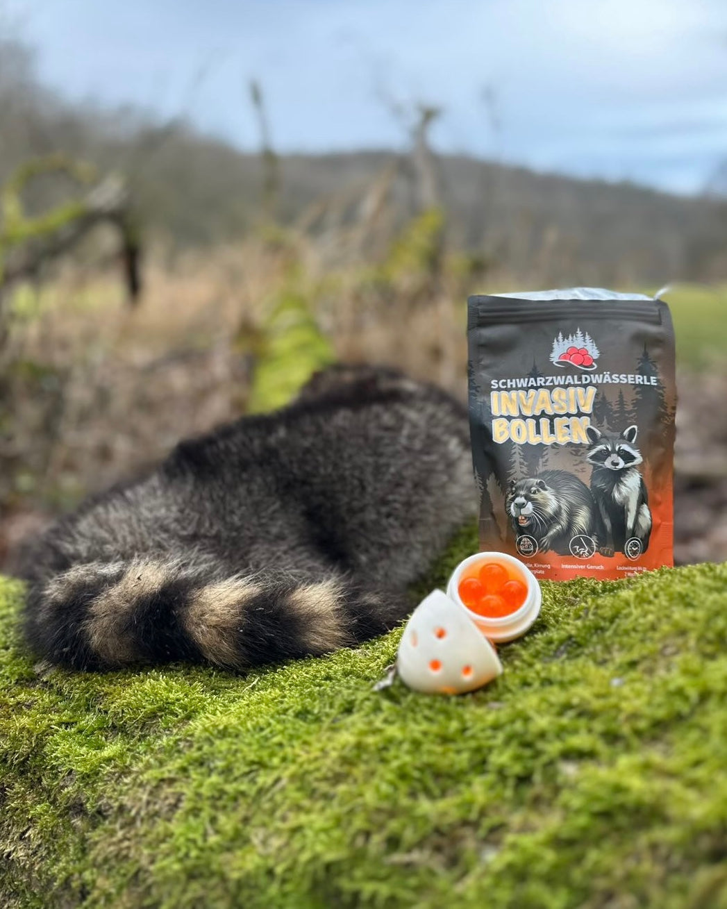 Invasiv Bollen - Lockmittel für Waschbären und Nutria