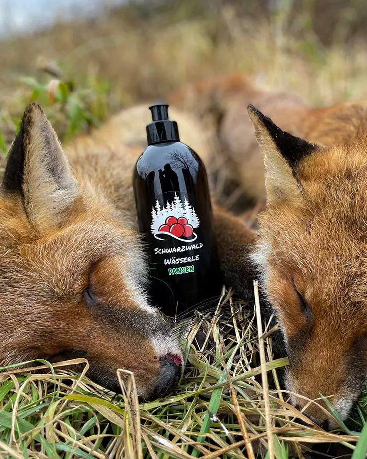 Rumen attractant - wild boar and predators