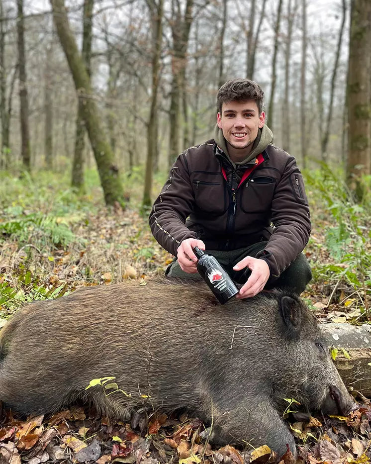 Rumen attractant - wild boar and predators