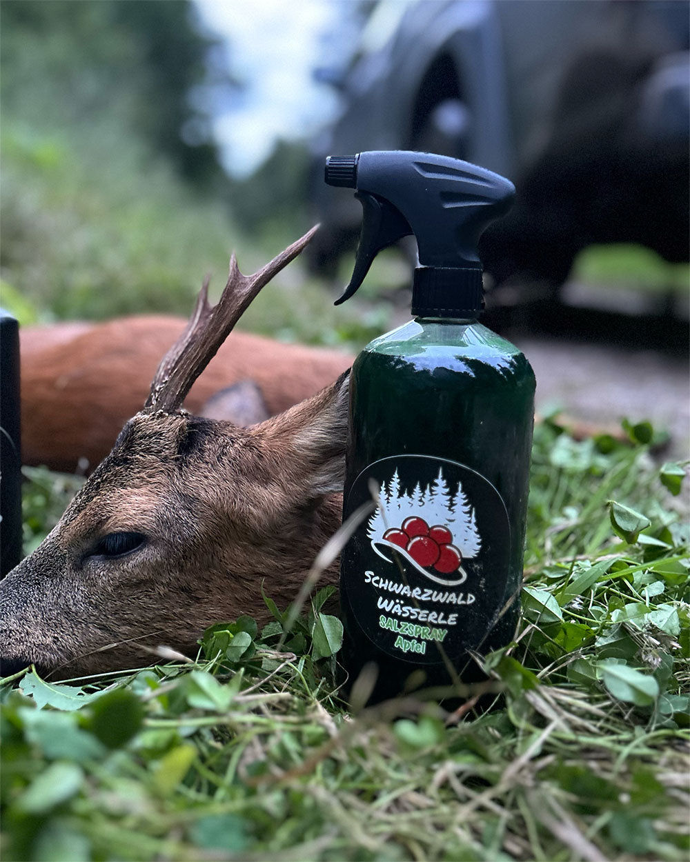 Salt spray apple - Attractant roe deer, wild boar, red deer and fallow deer